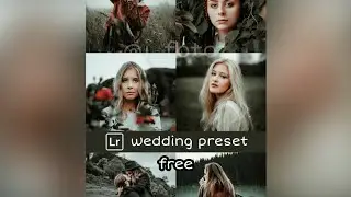😳😳 GET PRESET WORTH 999/-😳😳 #lightroom #wedding #preset #free #trending #subscribe #shorts  #apple