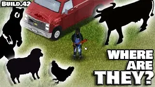 Где ЛУЧШЕ всего искать животных в Build 42 Project Zomboid?