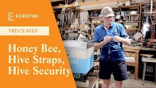 Trevs Bees - Honey Bee, Hive Straps, Hive Security