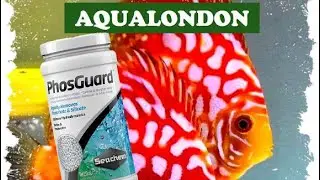 Phosguard para eliminar los fosfatos y silicatos