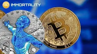 Investing In Altcoins? Stable, Meme, Utility, Governance, Security, Forks, Immortality IMT analysis