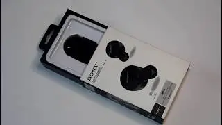 Наушники Sony TWS 5 | Обзор + распаковка | Последние выдающиеся бюджетные наушники