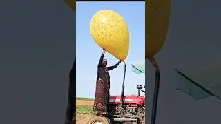 balloon vs tractor village lady  tractor driver #@mrjishant