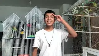 C&oacute;mo INICIAR tu PROPIO CRIADERO de AVES!!! 🥚🐣