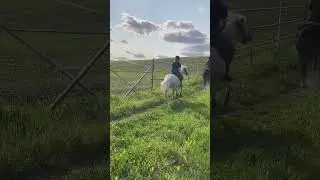 viime viikon emma video kattokaa kommentit