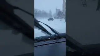 Snow Storm's #viral #snowstorm #work #onduty #video #vlog #police #hardwork #becareful #officer