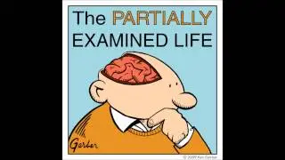 Partially Examined Life podcast - Lacan vs. Derrida on Poe's 