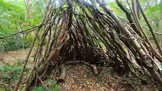 TELFORD & WREKIN, THE HOME I 💖 ( Ercall Woods )