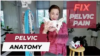 Pelvic Anatomy & Tips for Pelvic Health