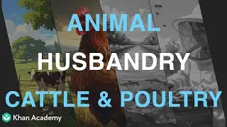 Animal Husbandry Cattle and Poultry| Middle School science| Khan Academy