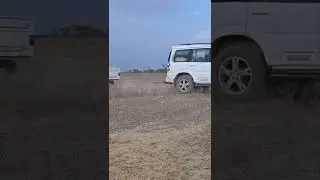 Mahindra Scorpio s11 (4X4) Vs Mahindra Bolero Pickup (4X4) Tochan🪝 #shorts #tochan #scorpio #camper