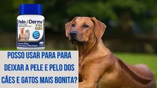 Para que serve pelo e derme para cachorro e gato ?