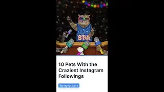 10 Pets With the Craziest Instagram Followings