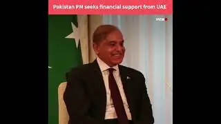 Pakistan PM seeks financial support from UAE