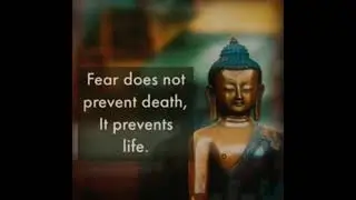 BUDDHA QUOTES ON DEATH.