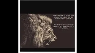 CRASHES/REFLEX RALLIES - THE ULTIMATE SWING/DAY-TRADING STRATEGY/FORECASTS VIDEOCAST