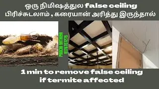 #1_min to remove false ceiling if termite affected - Poochi Sathiya #1min #1_Min