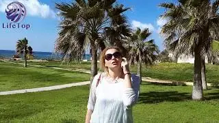 Отзыв о LifeTop