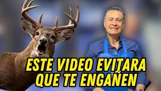 ESTO ES LO QUE LAS DEM&Aacute;S MARCAS NO QUIEREN QUE SEPAS SOBRE LA PIEL DE VENADO