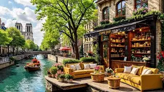 Relax Jazz Music🌈Luxurious Coffee Shop Ambience for Study & Work🎶☕Gentle Jazz