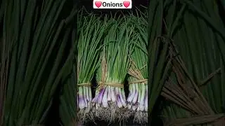 Natural Imunity Booster | The Beautiful Onions #vegetables #nature #food #imunitybooster #green
