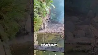 Jungle World (Bronx Zoo)