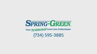 Fertilizing, Weed Control & More in Romulus, MI | Spring-Green