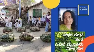 ಮೈಸೂರು   ವೀಳ್ಯದೆಲೆ ಸಂತೆ/ ಉದ್ಬೂರಿನಲ್ಲಿ ಪ್ರತಿದಿನ  ಅರ್ಧ ಗಂಟೆ/ Mysore beetle leaves growers- buyers fair