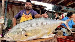 KASIMEDU🔥SPEED SELVAM QUEEN TREVALLY CUTTING🔥IN KASIMEDU FISH CUTTING🔥