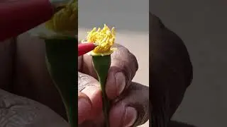 Flower Parts  Explain by - Sunil Sir (Biology Expert)