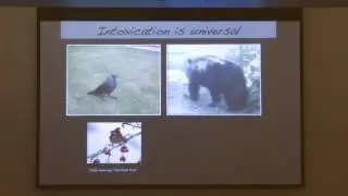 Allison J. Doupe Memorial Symposium - Ulrike Heberlein, PhD