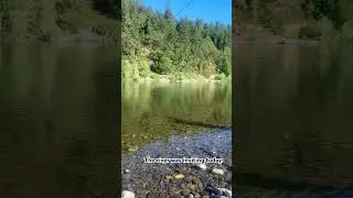 The Rogue River never disappoints!   What a beautiful escape. #nature #adventure #fishing