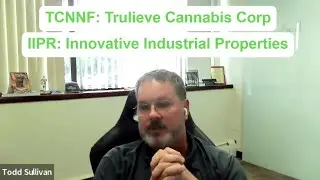 Cannabis Investing: Avoid Canadian Stocks, Buy These US Names