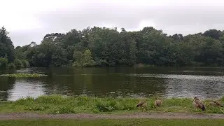 Wandelvlog Marskramerpad Scheveningen-Wassenaar