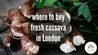 Where to buy fresh cassava in London