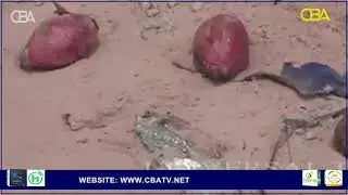 Somalia intelligence officer killed in IED explosion in Lower Shabelle region