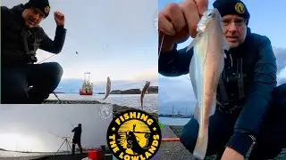 How to, how not to: Zeevissen Noordzee kanaal en IJmuiden met kippenhartjes. FishVlog #178.