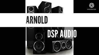 Arnold mankirat aulatk #dspaudio