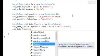 C# 40: System.Data - DataColumn DataTable