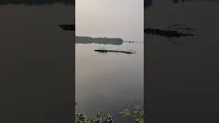 Okhla Bird Sanctuary View - Heaven in Noida