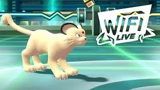 Pokemon Let's Go Pikachu & Eevee Wi-Fi Battle: Персидские чипсы в действии! (1080p)