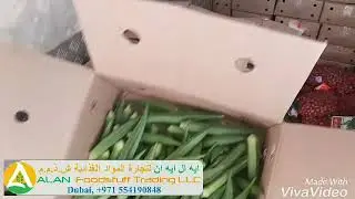Indian Fresh Vegetables