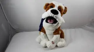 Singing dog