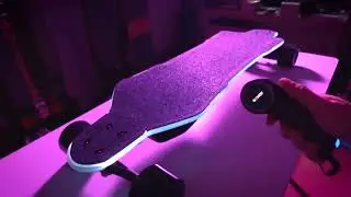 Flex Paragon