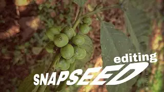 Nature photography editing #snapseededitor #sanpseeed