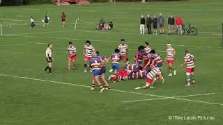Swindale Shield Round 4: HOBM (43) v Tawa (14)