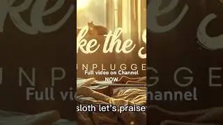 Shake the Sloth (Unplugged) Full video on Channel NOW #debothek #worshipworkouts #heavyworship
