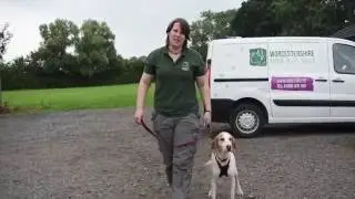 WARS Support Adoption for Pets Grant Video