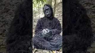 Розыгрыш с гориллой 🤣 смешное видео 📸🤪😂 #шорты #смешно