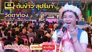 [4K]  ต้นข้าวสุปรียา วัดตาก้อง ต.ตาก้อง อ.เมือง จ.นครปฐม 31/01/2569